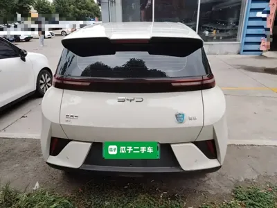 BYD Seagull