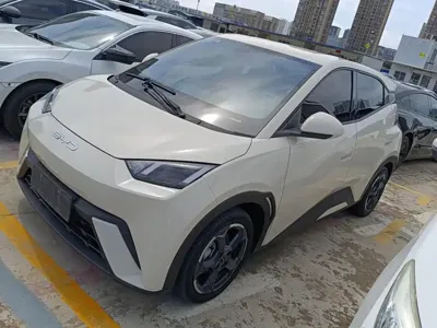 BYD Seagull
