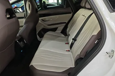 BYD Song PLUS New Energy