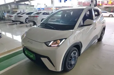 BYD Seagull