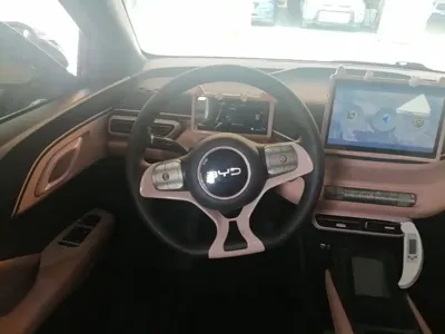 BYD Seagull