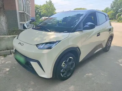 BYD Seagull