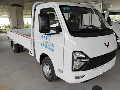 Wuling 五菱龙卡