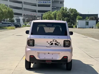 Galaxy Panda