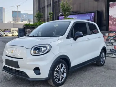 Leapmotor Leapmotor T03