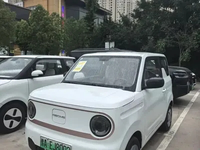 Galaxy Panda