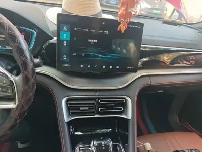 BYD PLUS