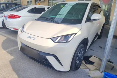 BYD Seagull