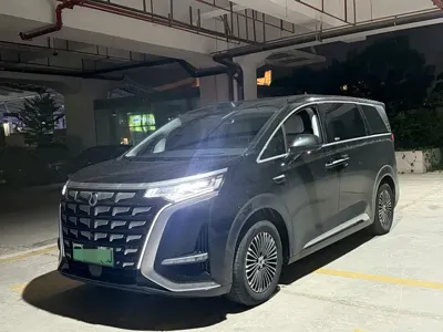 Denza Denza D9