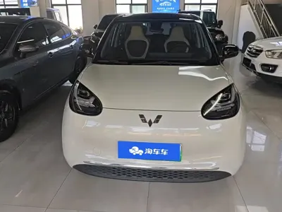 Wuling Bingo
