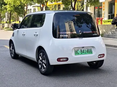 ORA Ora White Cat