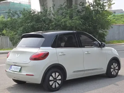 Wuling Bingo