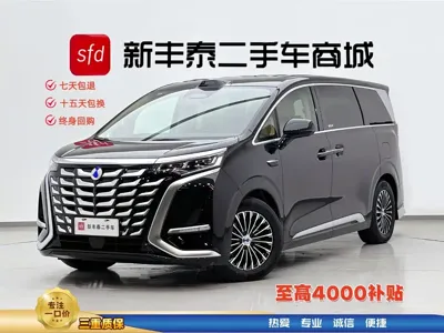 Denza Denza D9