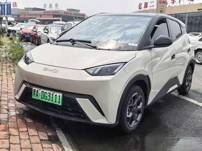 BYD Seagull