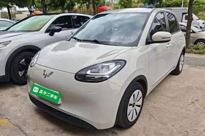 Wuling Bingo