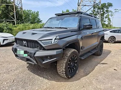 Mengshi Mengshi 917