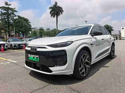 Audi 奥迪Q6L e-tron