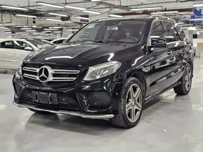 Mercedes-Benz 奔驰GLE(进口)