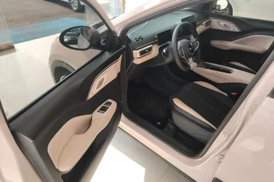 BYD Seagull