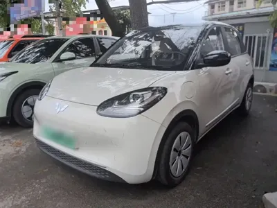 Wuling Bingo