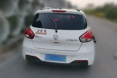 Baojun 310