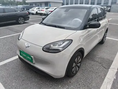 Wuling Bingo