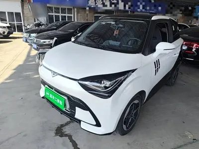 Cowin Shiyue
