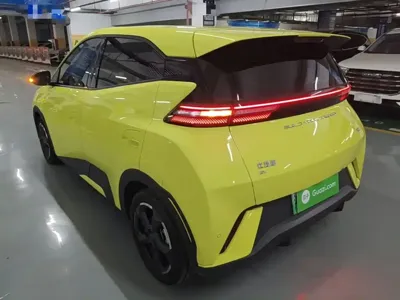 BYD Seagull