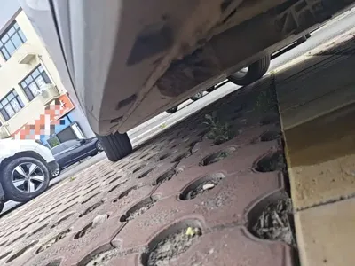 ORA Ora Good Cat