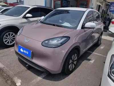 Wuling Bingo