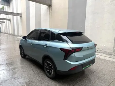 NETA Neta V