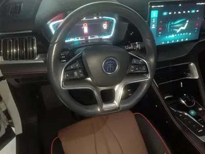 BYD PLUS