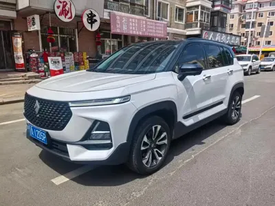 Baojun RS-5