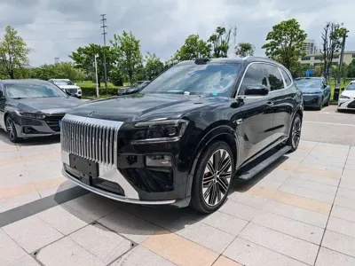 Zeekr 极氪8X