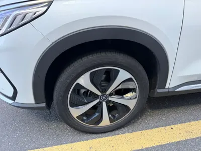 BYD PLUS New Energy