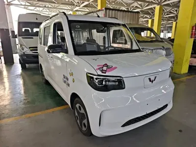 Wuling Zhiguang EV