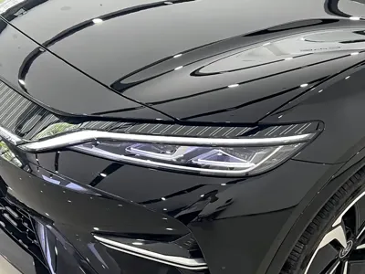 BYD L EV