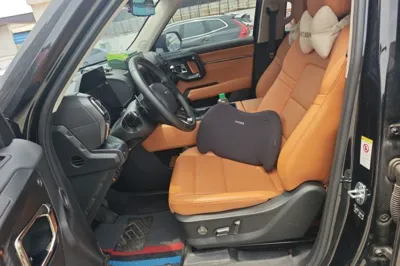 Haval H Dog