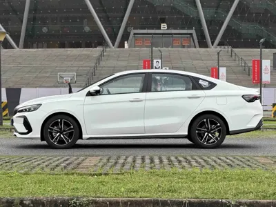 Geely Binrui