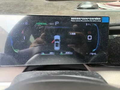 BYD Pro New Energy