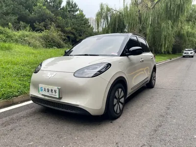 Wuling Bingo