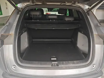 BYD L DM-i