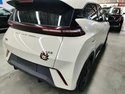 BYD Seagull