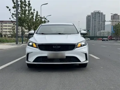 Geely Binrui