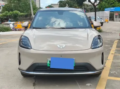 Wuling 缤果S