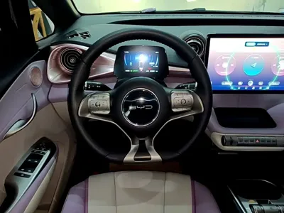 BYD Dolphin