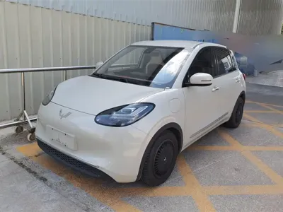 Wuling Bingo