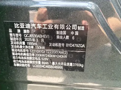 Denza 腾势N9