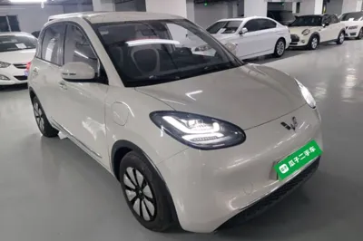 Wuling Bingo