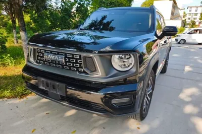 Haval H Dog